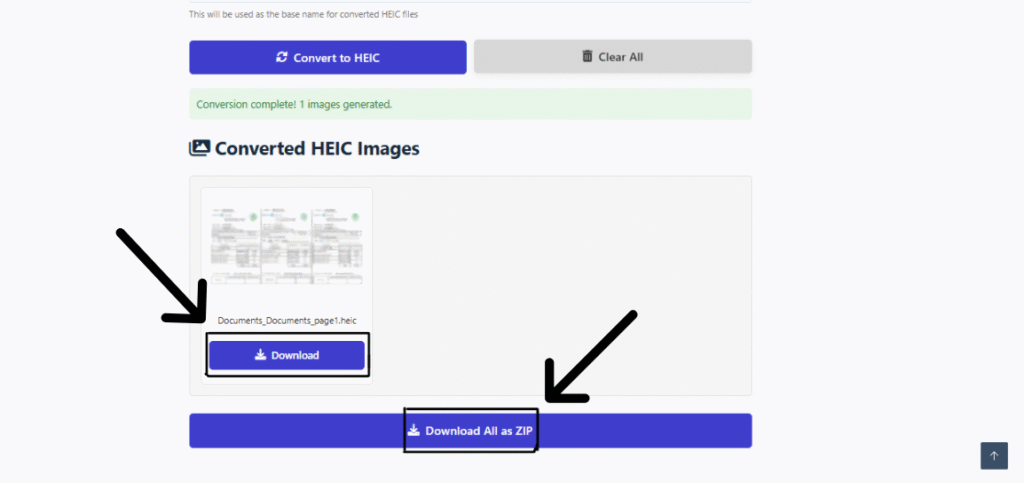 Download your converted file